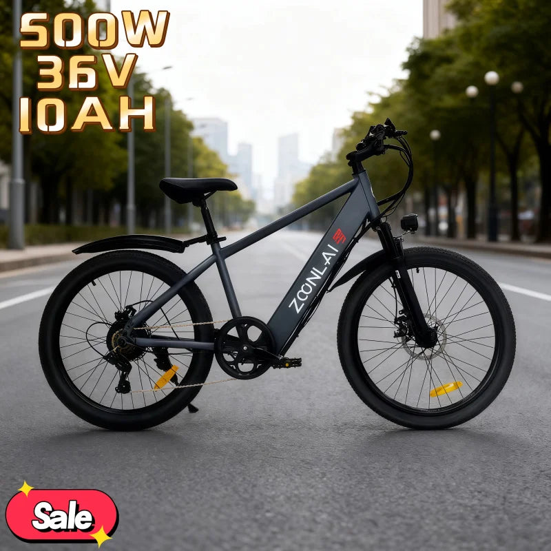 24 Inch 500W Electric Bike 36V 10AH Adult E-Bike