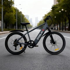24-inch electric bicycle with 500W power 36V 10AH safety battery makes it easy and labor-saving for adults to ride E-bike