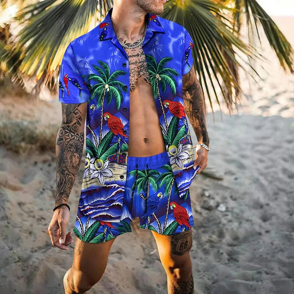 Men's Vacation two-piece Daily suit, Hawaiian cardigan, set, 3D Printed Summer shirt, Beach Shorts