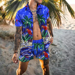 Men's Vacation two-piece Daily suit, Hawaiian cardigan, set, 3D Printed Summer shirt, Beach Shorts